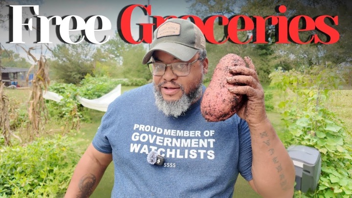 I Turned Last Year’s Sweet Potatoes into This Huge Harvest!
