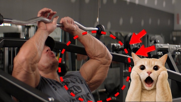 The Bulk Rebirth Day 7 - Monstrous Arm Pump 234.8 lbs
