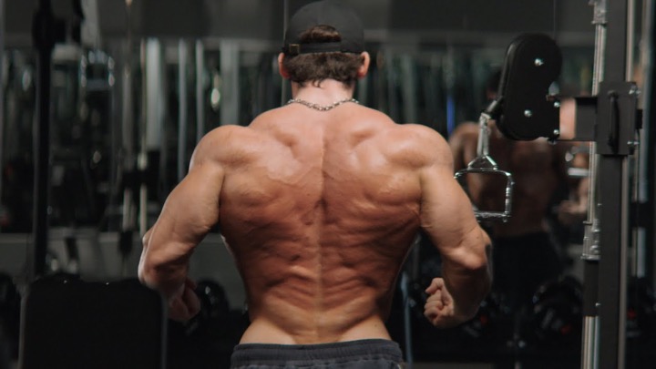 The Bulk Rebirth Day 2 - Lat Focused Back Day - 235.5 lbs