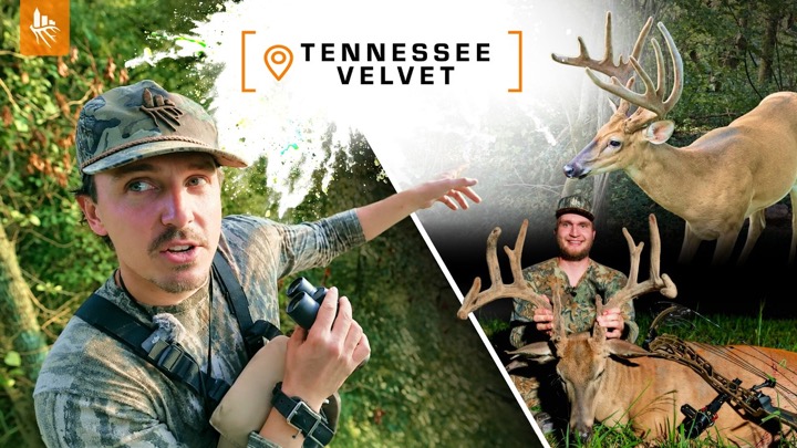 HUNTING VELVET GIANTS!!! Big Buck Down! (Season Opener)