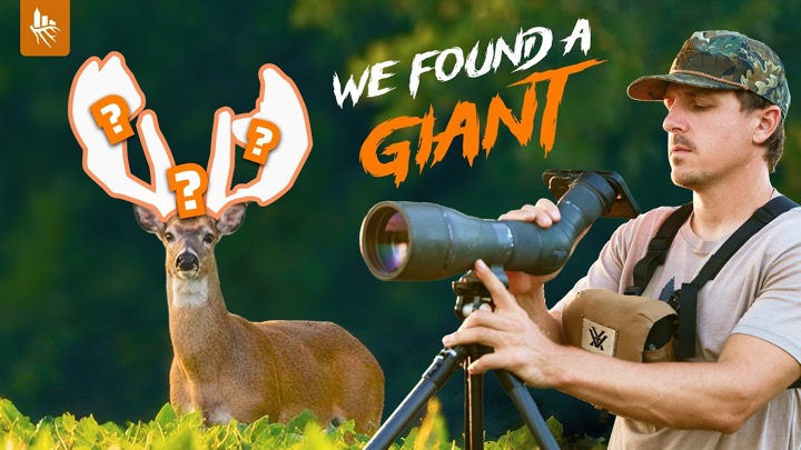MASSIVE BUCK REVEALED!! We SHOULDN’T Show This! Summer Scouting