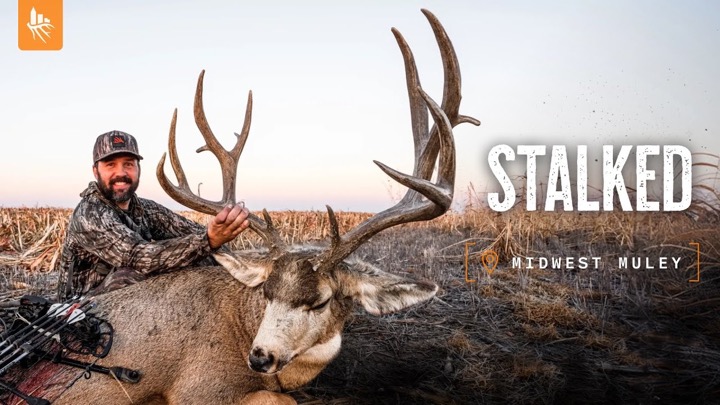 GIANT Mule Deer at 5 YARDS!! Spot and Stalk