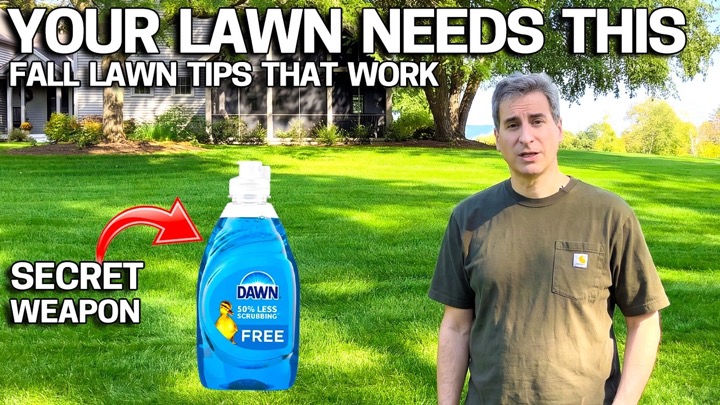 Lawn Care is Expensive. Try THIS Instead!
