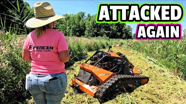 Spencer Lawn Care — recent post 2