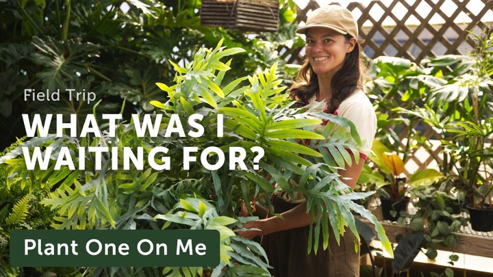 I Can’t Believe I Waited 6 YEARS to Visit This PLANT SHOP & GARDEN CENTER — Ep. 445