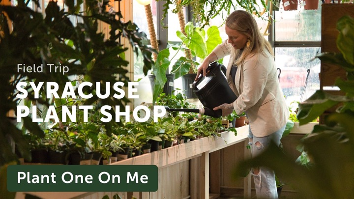 We Visited CUTE PLANT SHOP in Upstate New York — Ep. 444