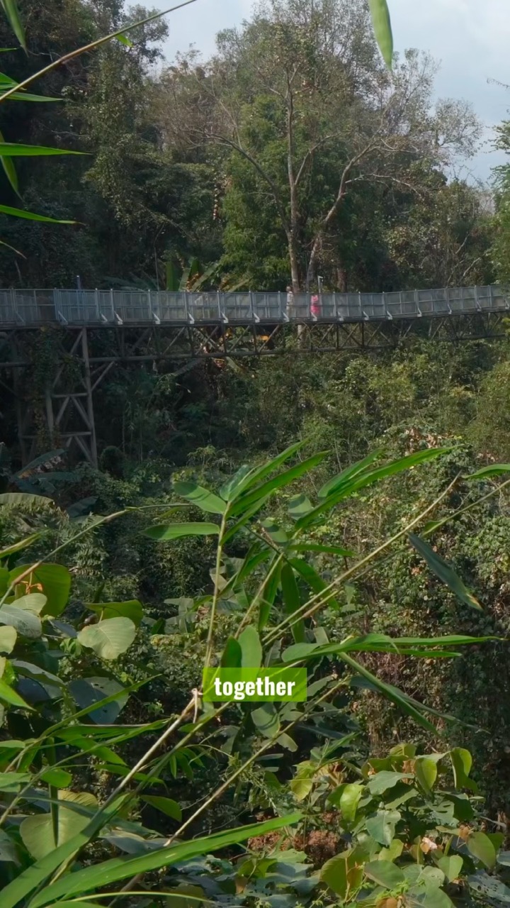 We’ve Launched Small Group BOTANICAL TOURS Around the WORLD! See Where We’re Going.🌎 🌱