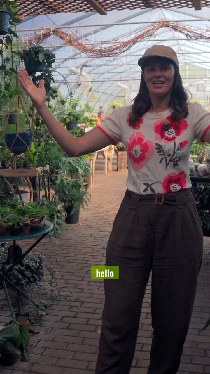 I FINALLY Visited the PLANT SHOP  Everyone Told Me About!