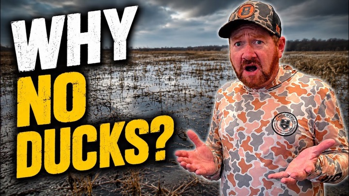 Biggest Lie in Duck Hunting: "If You Build It, They Will Come"