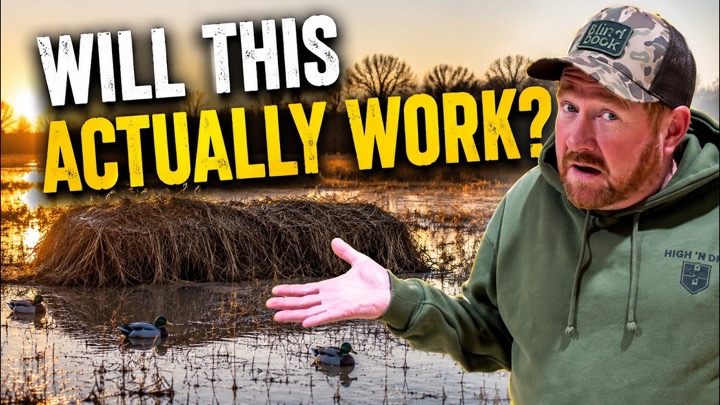 Before You Build a Duck Hole, Watch This!