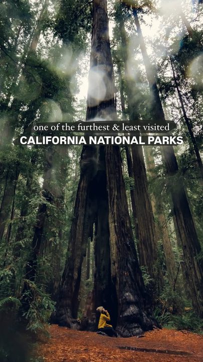 never doubting national parks again 👀🌲

follow @teeseestheworld for more stunning U.S. national parks and road trips✌️

