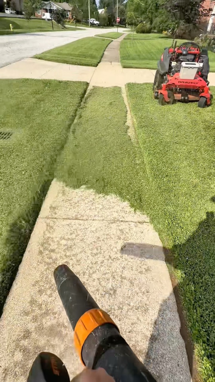 That Lawn Dude — recent post 2