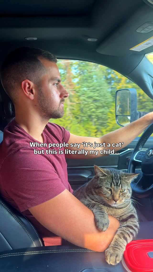 Are we sure this is the same guy that said no to getting cats?! 🥹🐈

follow @thebucketlist_rv for bucket list RV adventures with our two ca