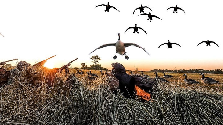 OPENING 2 DAYS AUGUST GOOSE HUNTING 2026!
