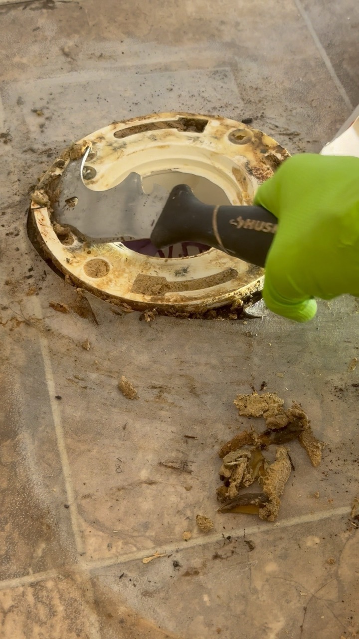 Pulling a Toilet to Replace the Flange #plumbing #plumber #bathroom #toilet #diy