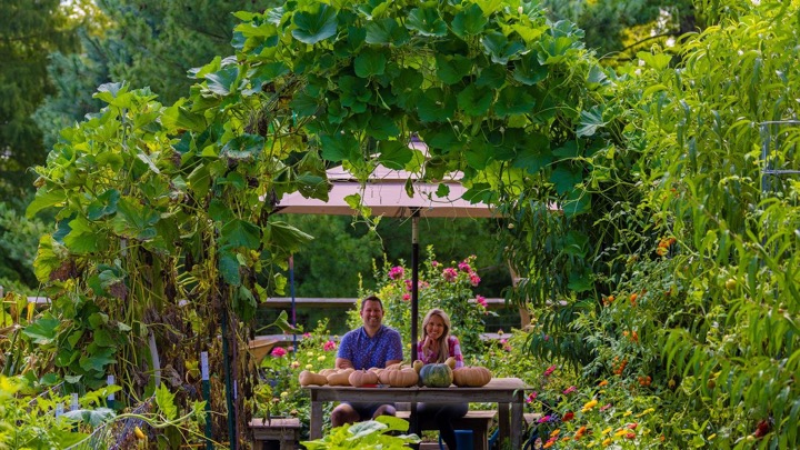 The Garden Family — recent post 3