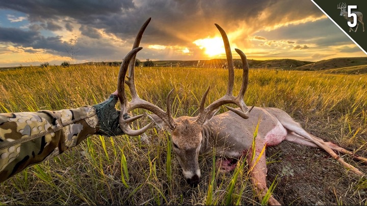 My BEST Day of Bowhunting Ever! (2 Public Land Bucks Down!!!)