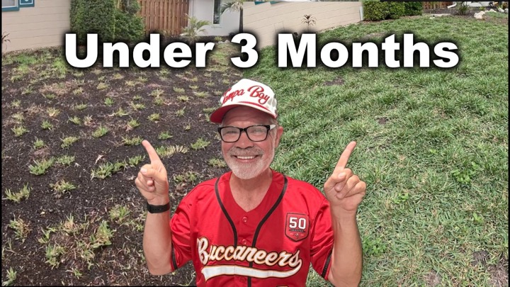 The Lawn Care Nut — recent post 2