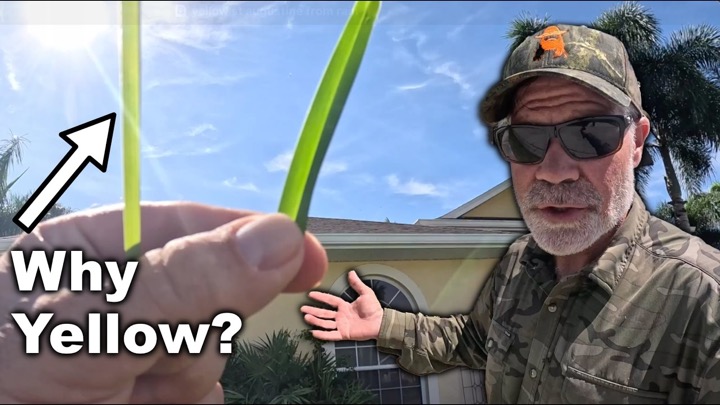 The Lawn Care Nut — recent post 3