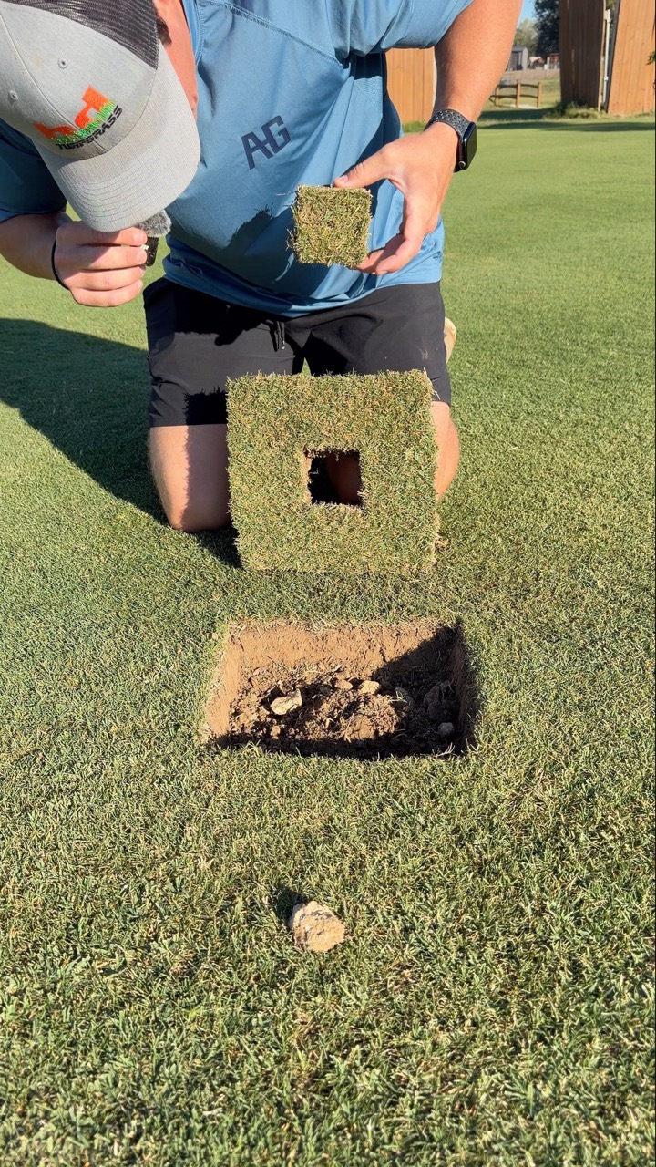 The Lawn Tools — recent post 3