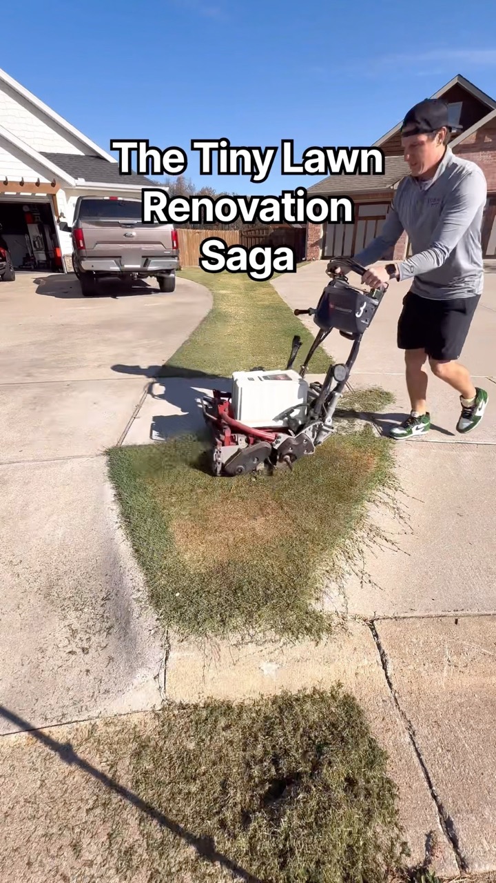The Lawn Tools — recent post 4