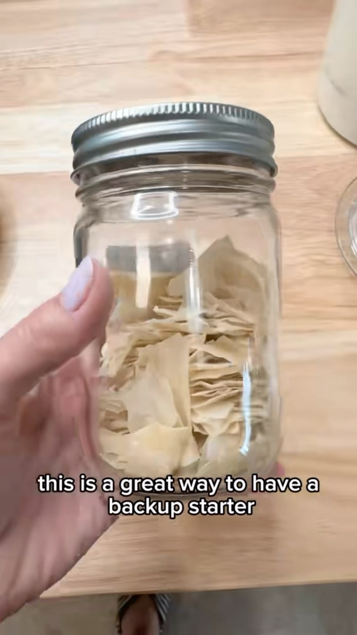 Dehydrate Sourdough Starter for backup or gifting
