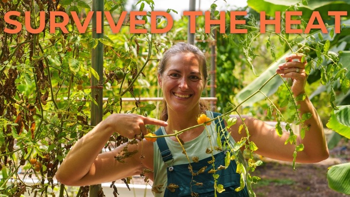 The Urban Harvest - Homegrown Education โ recent post 3