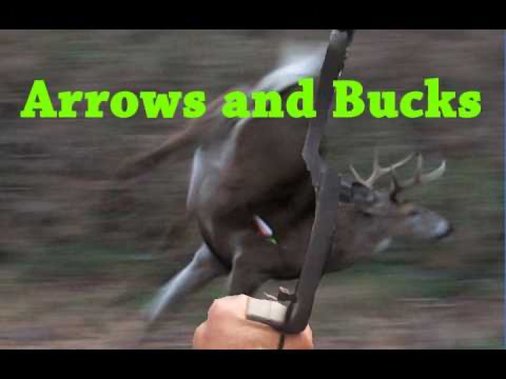 30 pound bow, SLOCK, Whitetail