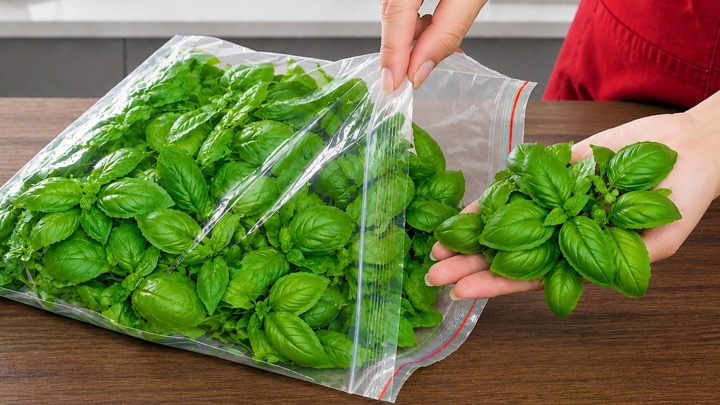 How to Preserve Basil for a Year Without Spoiling — No Freezer Needed! | Tracy Tips