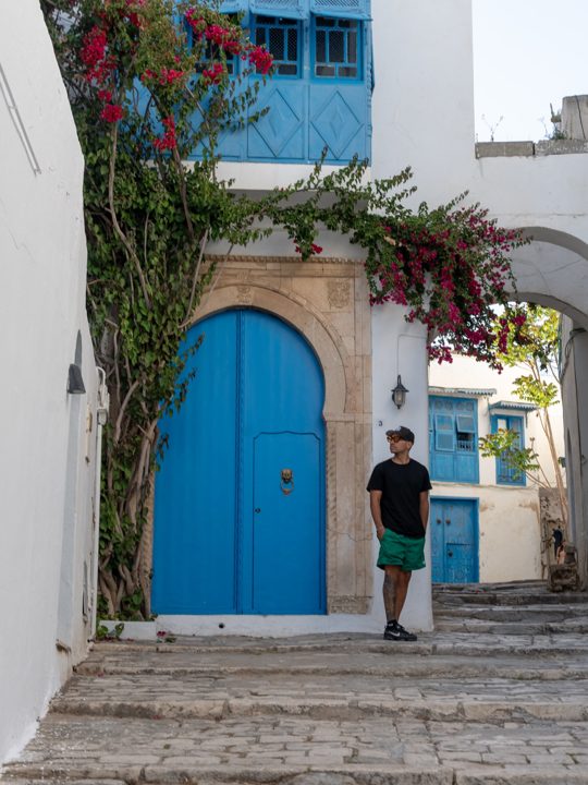 🛃The bluest city in Africa that resembles something from a Greek island 

📍Sidi Bou Said, Tunisia, Africa 

☕️Enjoy stro