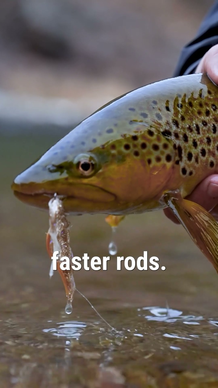 Fly Rod Weight Explained: Big Rivers vs Small Creeks