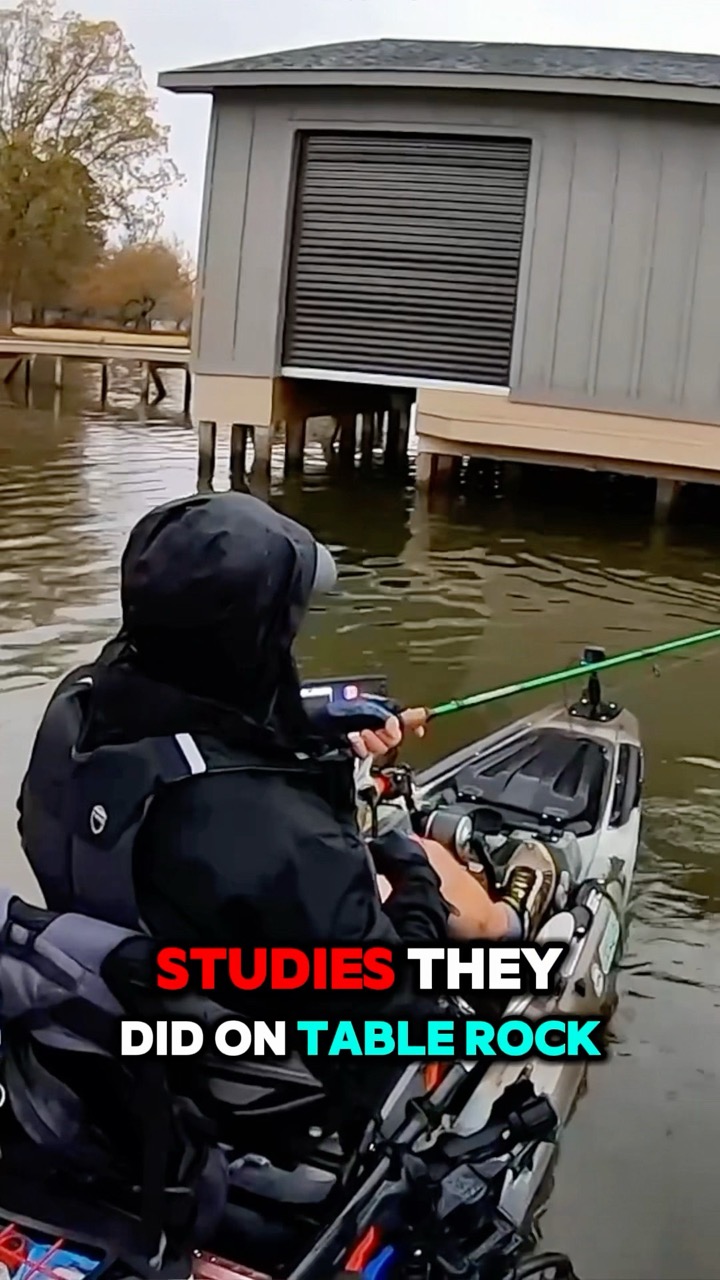 You WON'T Believe What This Bass Study Revealed!