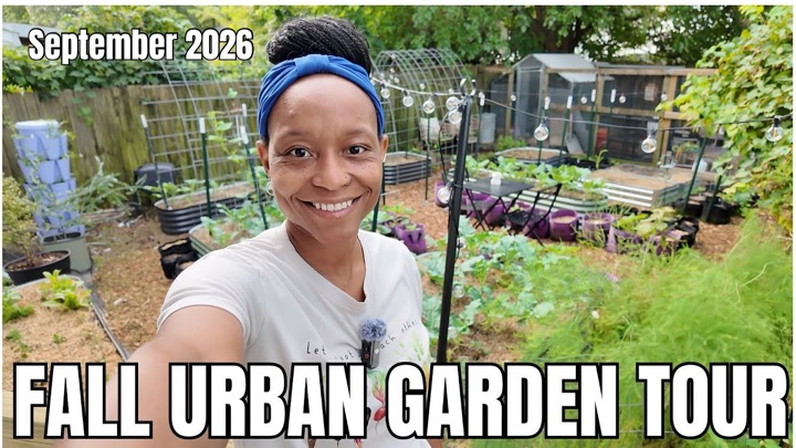 Yellow Door Urban Homestead — recent post 2