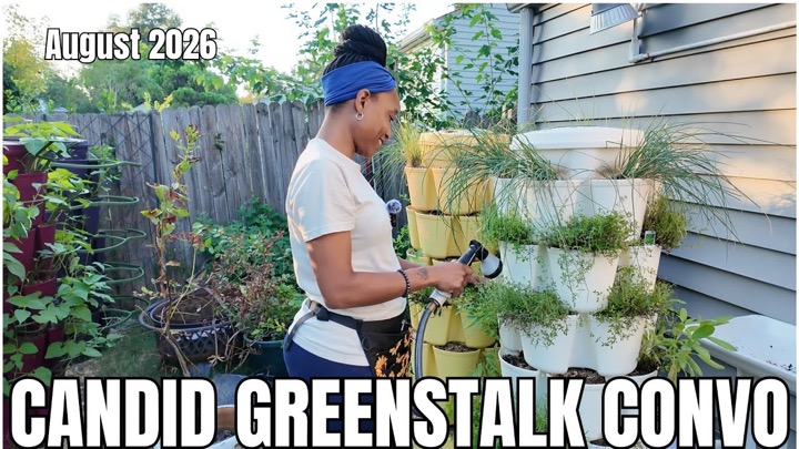 Yellow Door Urban Homestead — recent post 4