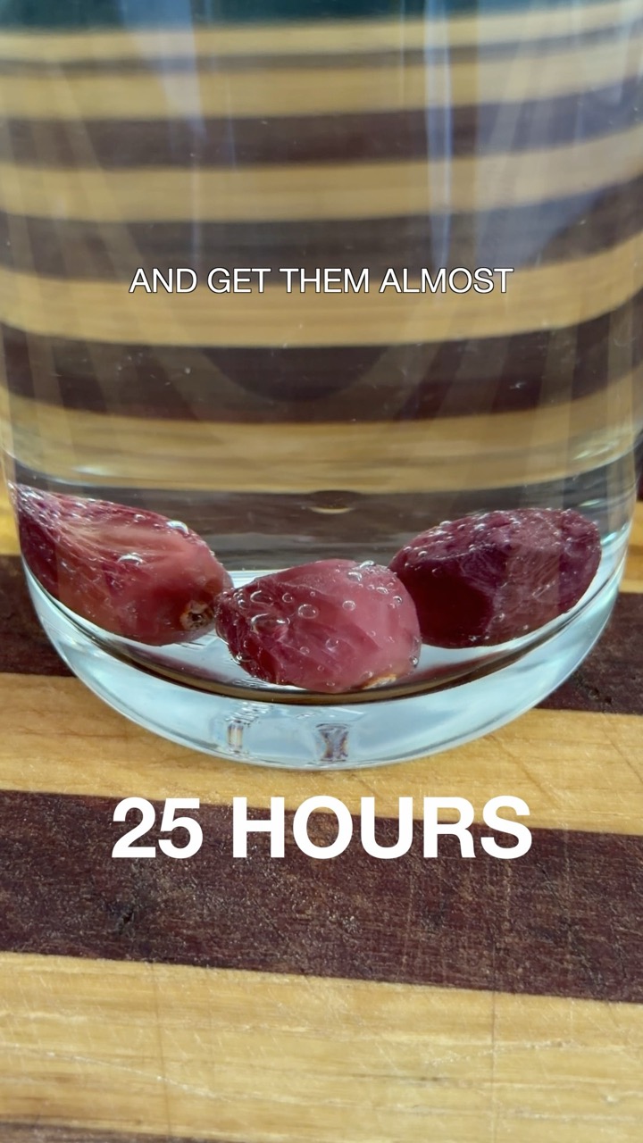 How to rehydrate raisins                           #grapes #dehydration